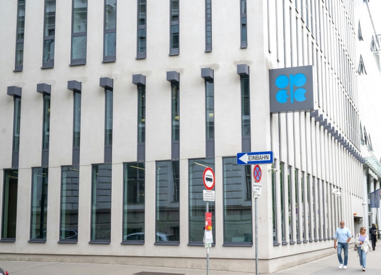 Iraq, OPEC+ members agree to keep oil production unchanged